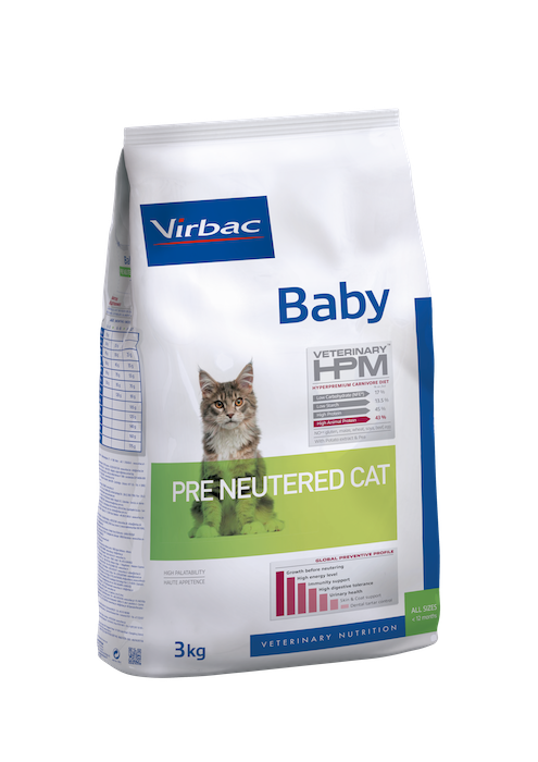 Baby Pre Neutered Cat